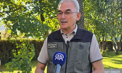 Orman Yangınlarıyla Mücadelede Farkındalık ve Sorumluluk