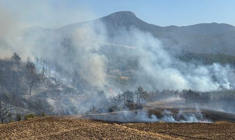 Osmaniye'de Orman Yangını Kontrol Altına Alınmaya Çalışılıyor