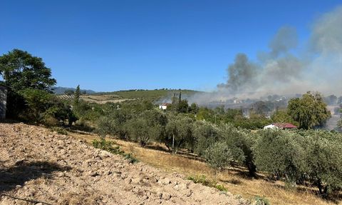 Osmaniye'de Zeytinlikte Yangın Söndürme Çalışmaları Devam Ediyor