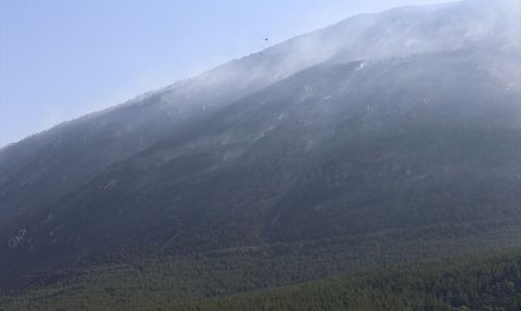 Pamukkale'deki Orman Yangını Kontrol Altında