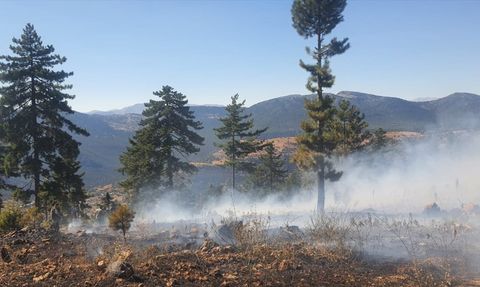 Saimbeyli'de Orman Yangını Kontrol Altına Alındı