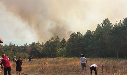 Sakarya'da Orman Yangını Kontrol Altına Alındı