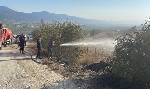 Sakarya'daki Yangın Kontrol Altına Alındı