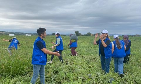 Samsun'da Gençlerden Karpuz Hasadına Destek