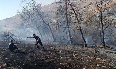 Şanlıurfa'daki Orman Yangını Kontrol Altına Alındı