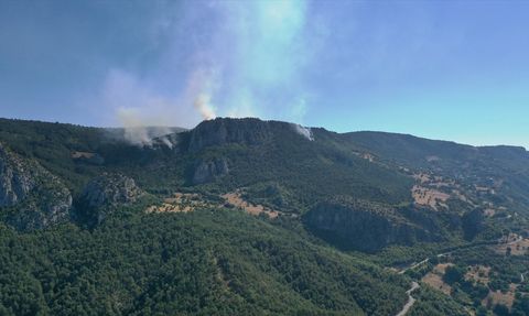 Sinop'ta Orman Yangınına Müdahale Devam Ediyor