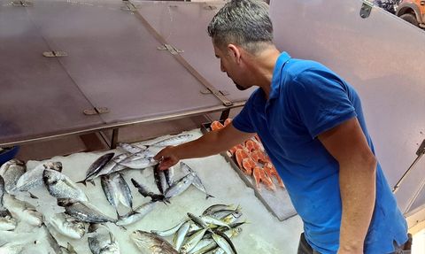 Sinop'ta Palamut Fiyatları Yükseldi