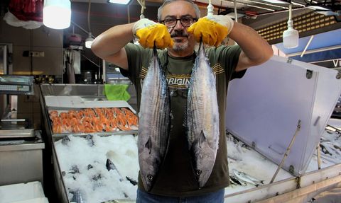 Sinop’ta Sezonun İlk Torikleri Tezgahlara Düştü