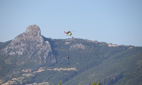 Sinop'taki Orman Yangını Kontrol Altına Alındı