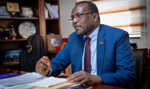 Sudan Büyükelçisi Eltayeb'den HDK'nin Hükümeti Hakkında Sert Açıklamalar