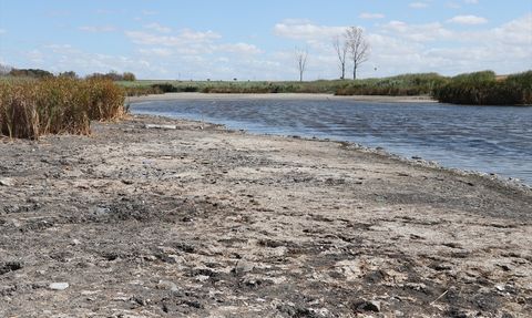 Tekirdağ'ın Kırkkepenekli Göleti'nde Oksijen Krizi: Balıklar Telef Oldu