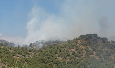 Tokat'ta Orman Yangını Görüntülendi