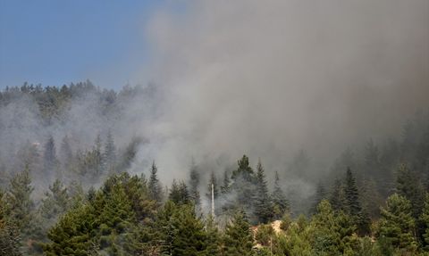 Tokat'taki Orman Yangını Kontrol Altına Alındı