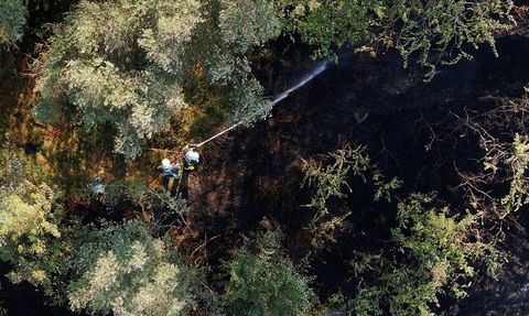 Trabzon'da Örtü Yangını Kontrol Altına Alındı