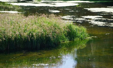 Tunca Nehri'nde Kuraklık Nedenli Su Seviyesi Düşüşü