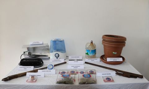 Tunceli'de Kenevir Yetiştiren Zanlı Yakalandı