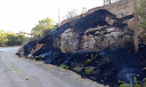 Tunceli'de Otluk Alanda Yangın Kontrol Altına Alındı