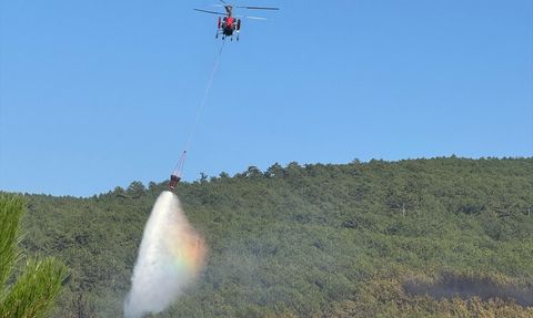 Uşak'ta Orman Yangınına Havadan ve Karadan Müdahale