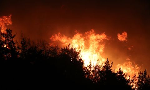 Yayladağı'nda Orman Yangını Kontrol Altında