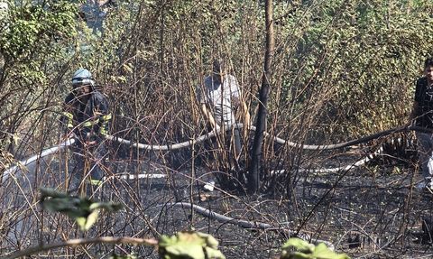 Zonguldak'ta Orman Yangınları Kontrol Altına Alındı