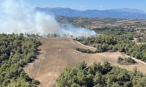 Adana'da Orman Yangını Kontrol Altına Alındı
