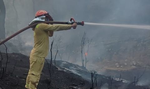 Adana'daki Orman Yangını Kontrol Altına Alındı
