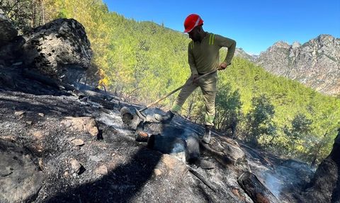 Adana'nın Feke İlçesinde Orman Yangını Kontrol Altına Alındı
