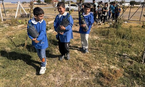 Aksaray'da Ağaçlandırma Seferberliği