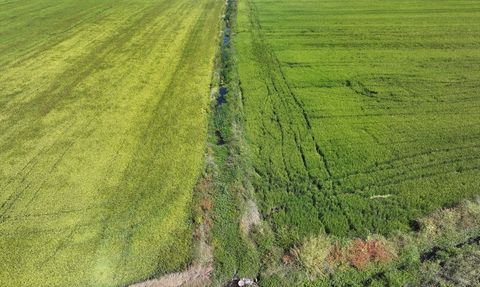 Altınyazı Barajı Kuraklığın Etkilerini Azalttı