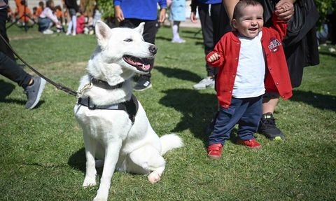 Ankara Kültür Yolu Festivali'nde Çocuklara Özel Etkinlik