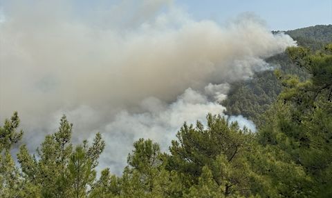 Antalya Alanya'da Orman Yangınlarına Müdahale Devam Ediyor