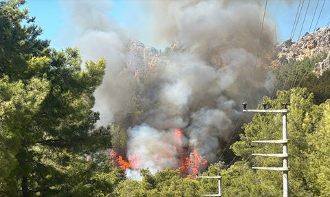 Antalya'da Orman Yangını Kontrol Altına Alınmaya Çalışılıyor