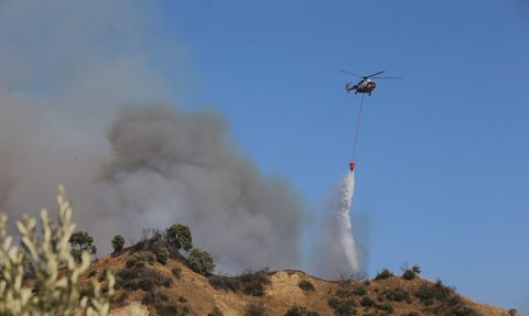 Aydın'da Yangınla Mücadele Başlatıldı