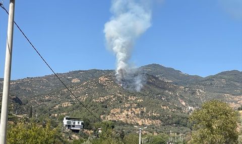 Aydın'daki Zeytinlik Yangını Kontrol Altına Alındı