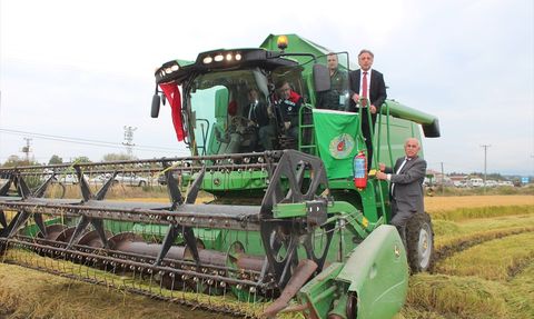 Bafra Ovası'nda Çeltik Hasat Coşkusu