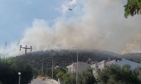 Balıkesir'de Makilik Alanda Yangın Kontrol Altına Alındı