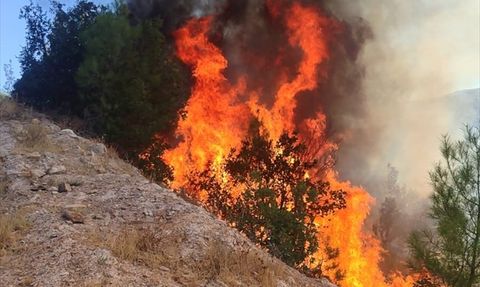 Balıkesir'de Orman Yangını Kontrol Altına Alındı