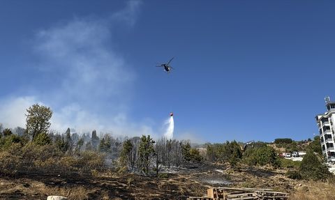 Bilecik'te Ağaçlık Arazide Yangın Kontrol Altına Alındı