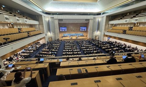 BM İnsan Hakları Konseyi'nde Üst Düzey Eleştiriler