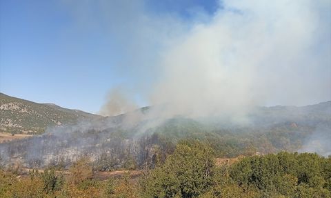 Burdur'da Orman Yangınına Müdahale Başlatıldı