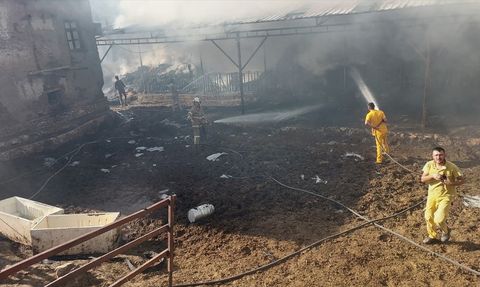 Burdur'da Yangın: Hayvanlar ve Saman Yanarak Telef Oldu