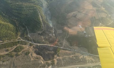 Bursa'da Orman Yangınına Hızla Müdahale Ediliyor