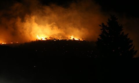 Bursa'daki Orman Yangını Kontrol Altına Alındı