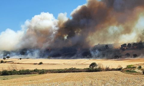 Çanakkale'deki Zeytinlik Yangını Kontrol Altına Alındı