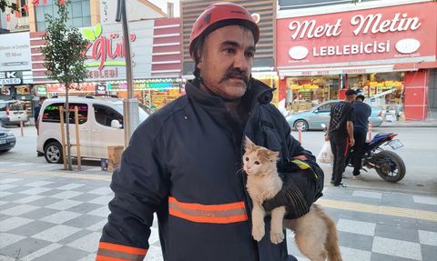 Çorum'da Ağaca Mahsur Kalan Kedi Kurtarıldı