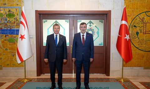 Cumhurbaşkanı Yardımcısı Yılmaz, KKTC Başbakanı Üstel ile Görüştü