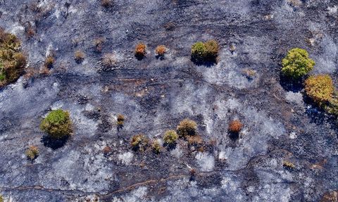 Düzce'deki Yangında Zarar Gören Alanlar Havadan Görüntülendi