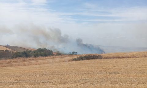 Edirne'deki Anız Yangını Kontrol Altına Alındı