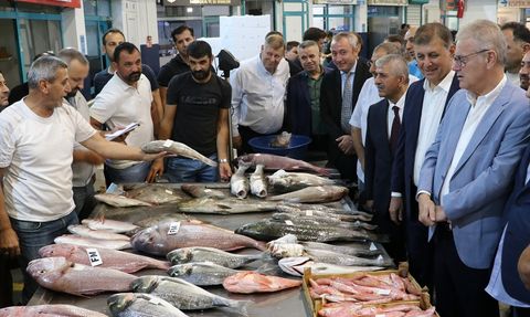 Ege'de Balıkçılık Sezonu Heyecanla Başladı