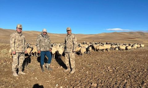 Erzincan'da Kaybolan 300 Koyun İHA ile Bulundu